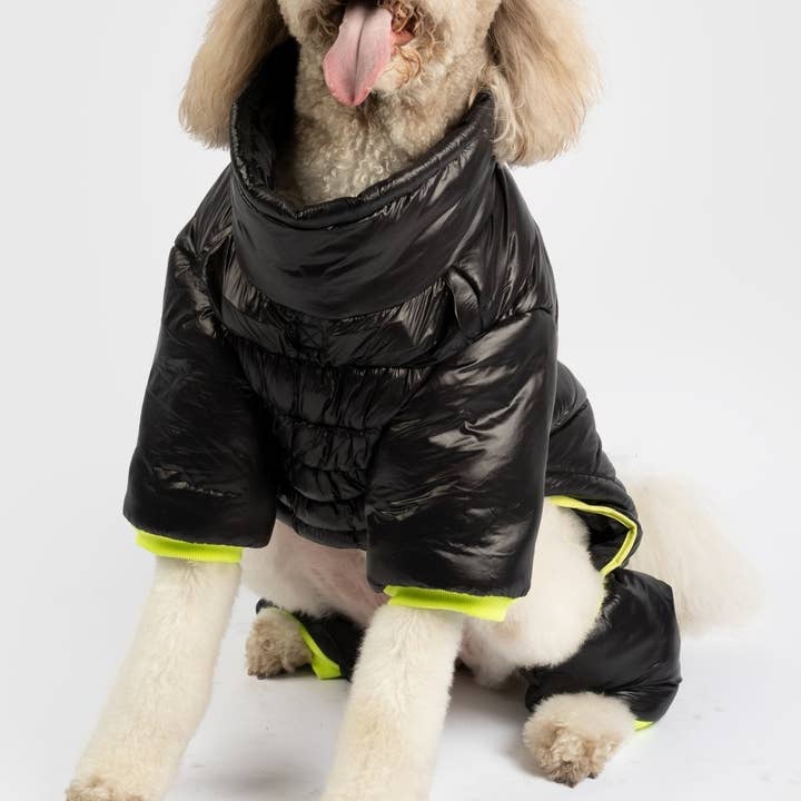 Whistler Full Body Dog Snowsuit - Black | Waterproof Winter Protection with Removable Pants for wholesale by Dollar Paw