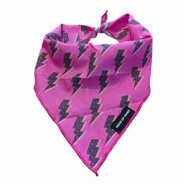 Pooch Lightening Bandana for wholesale by Haus of Hank