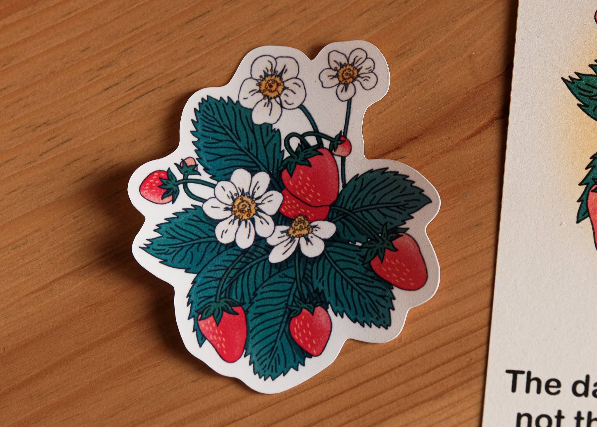 Sophie Carroll-Hunt - Wholesale Sticker - Strawberry Sticker - Scratch & Water Resistant Vinyl0