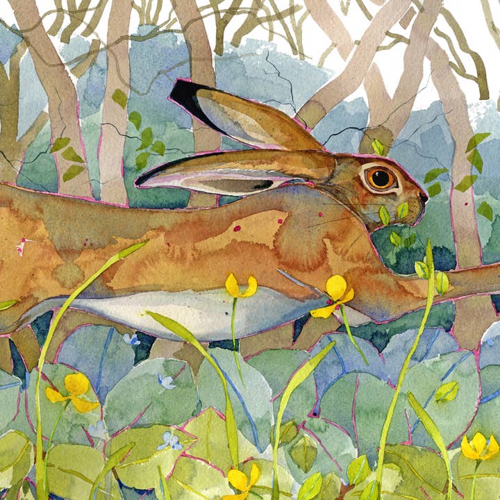 Buttercup Limited Edition Print Pc10 for wholesale by Mary Ann Rogers Gallery