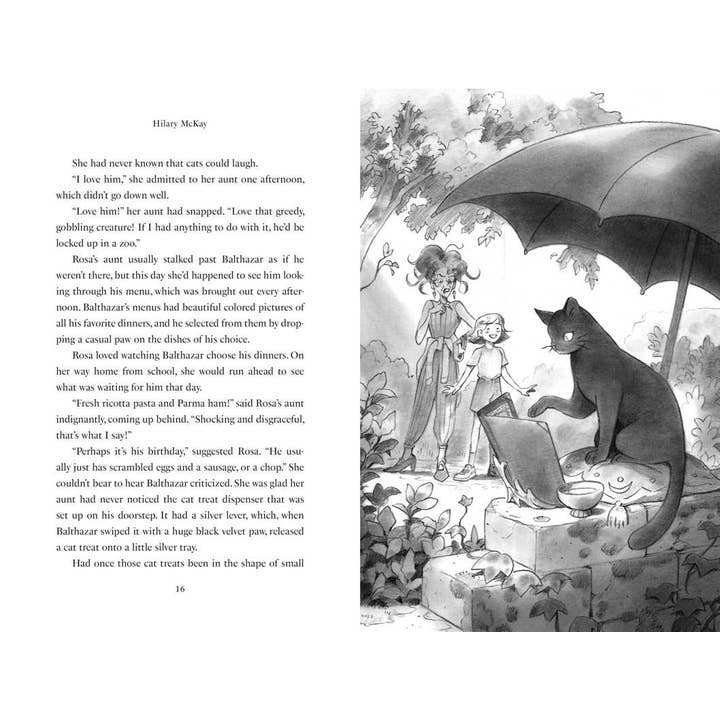 Simon & Schuster - Wholesale Early Reader Book (6-8) - Rosa by Starlight by Hilary McKay4