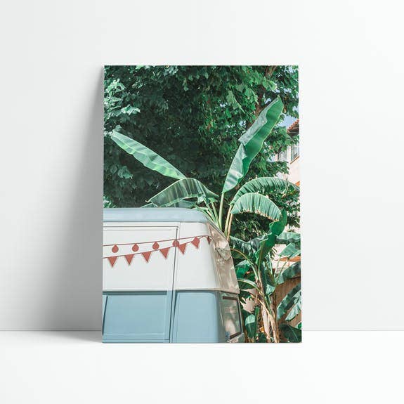 AFFISCH 30x40 CM - GRÖN LIFE-15250 för wholesale av David & David Studio