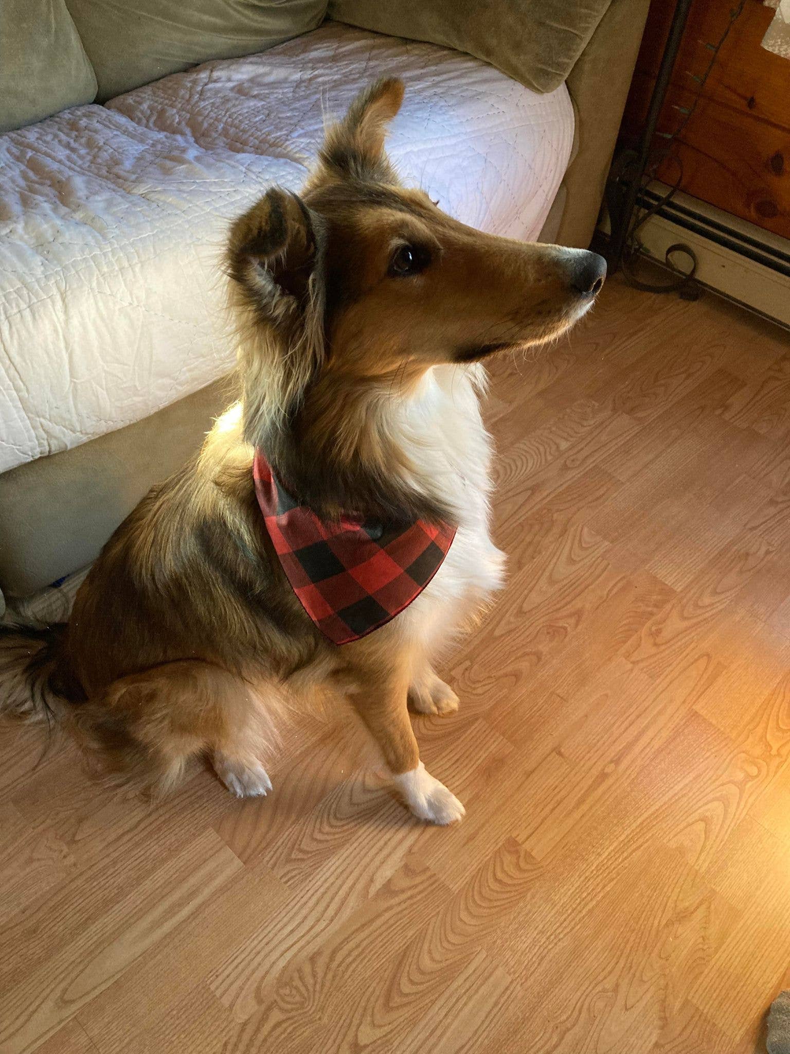 Jo's Pet Treats & Bandanas by Abab Enterprises, LLC - Wholesale Pet Bandana - Dog - Buffalo Plaid Tie-On Bandanas Retail-Ready4