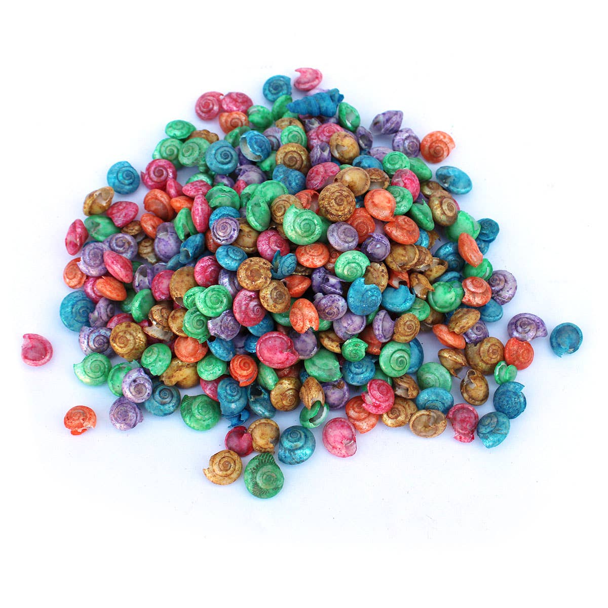 California Seashell Company - Wholesale Craft Supplies - Dyed Umbonium Craft Shells - 1 LB1