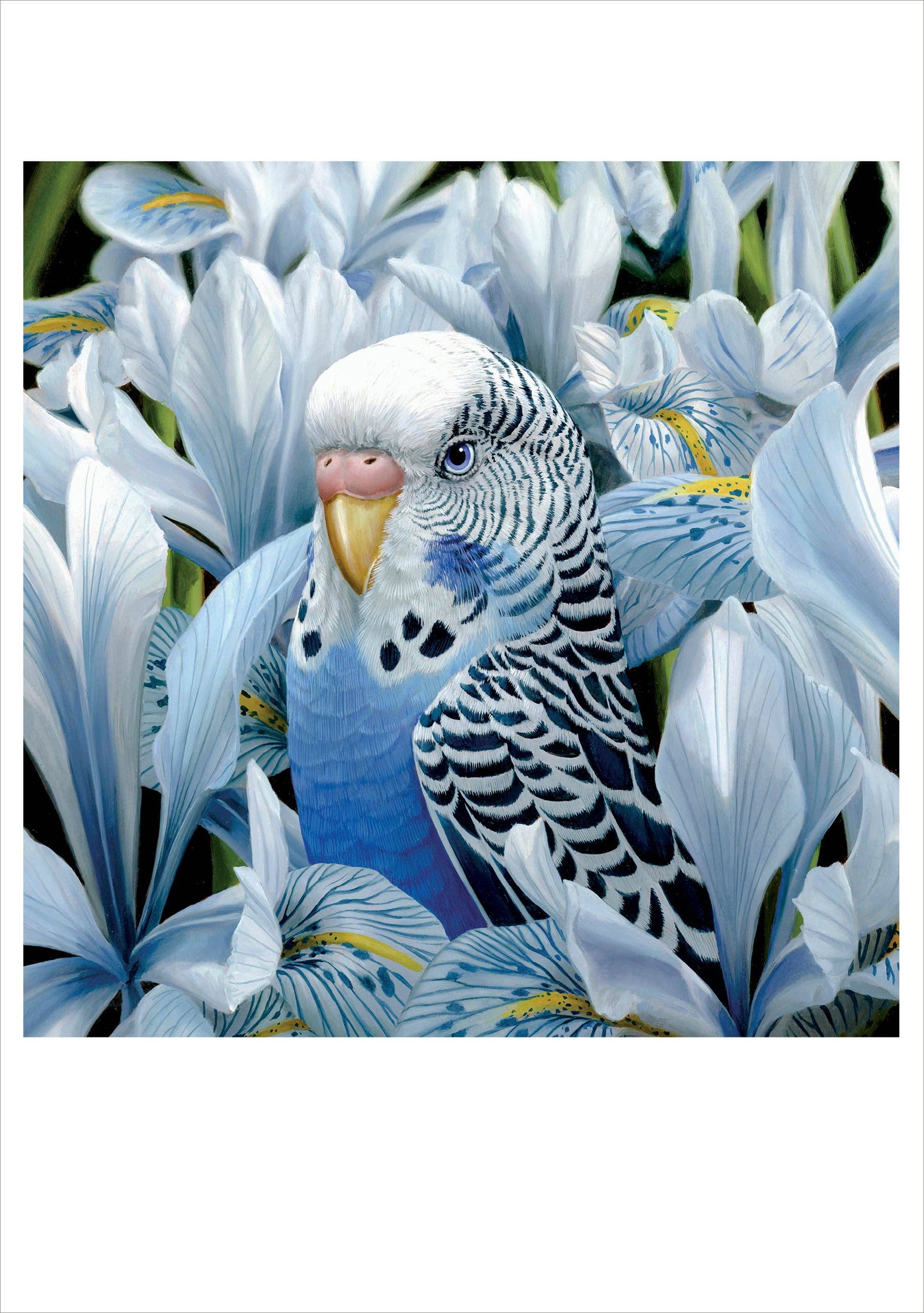 Pomegranate – wholesale Stationery/notecard set – Jon Ching: Sheila Ann Notecard0