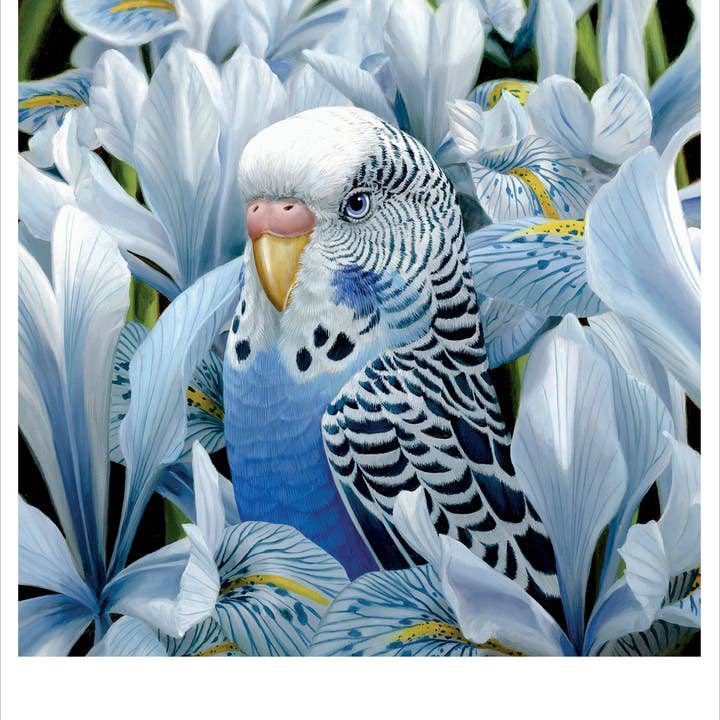 Pomegranate – wholesale Stationery/notecard set – Jon Ching: Sheila Ann Notecard