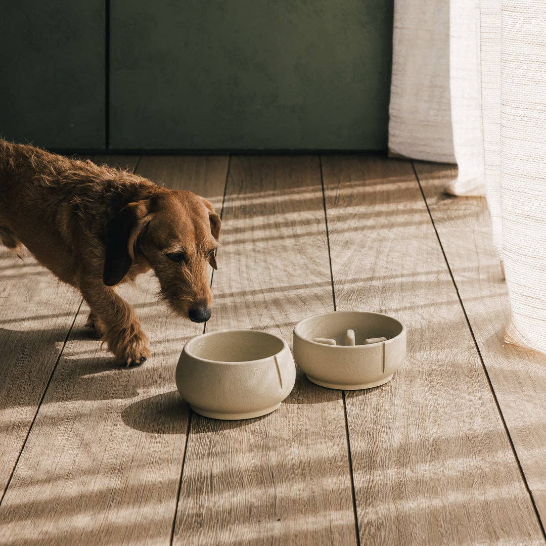 PINO - Wholesale Pet Bowl - Dog - Slow Feeder Bowl19
