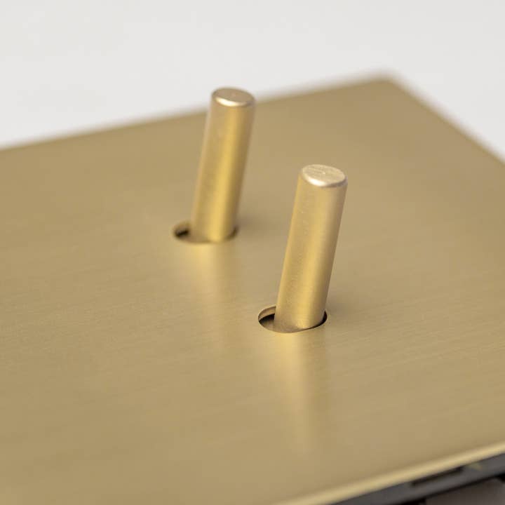 Brass bee – wholesale Light switch cover/plate – Satin Brass Switches and Sockets - J Series3