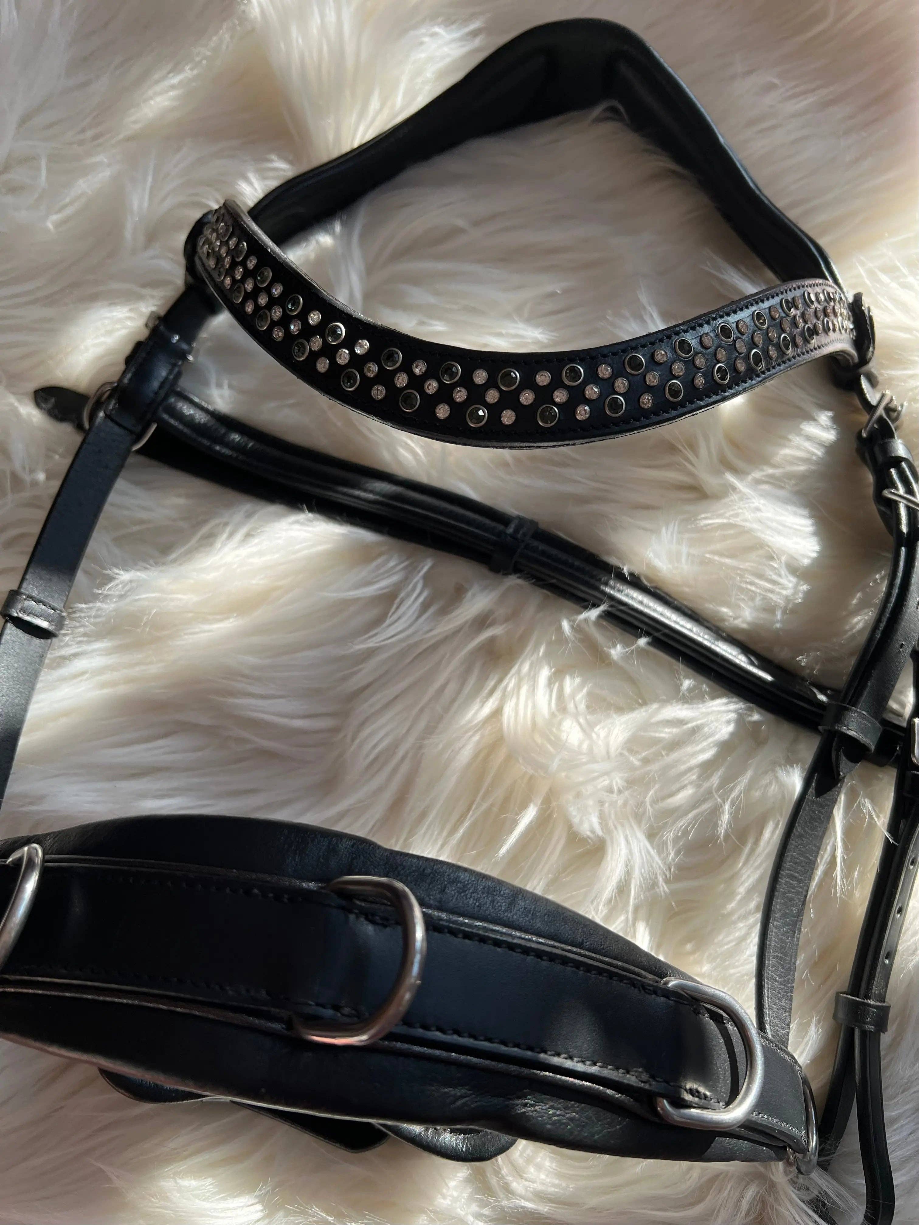 CR Harmonyequestrian - Wholesale Horseback Riding Gear - Full-blooded multi-fence8