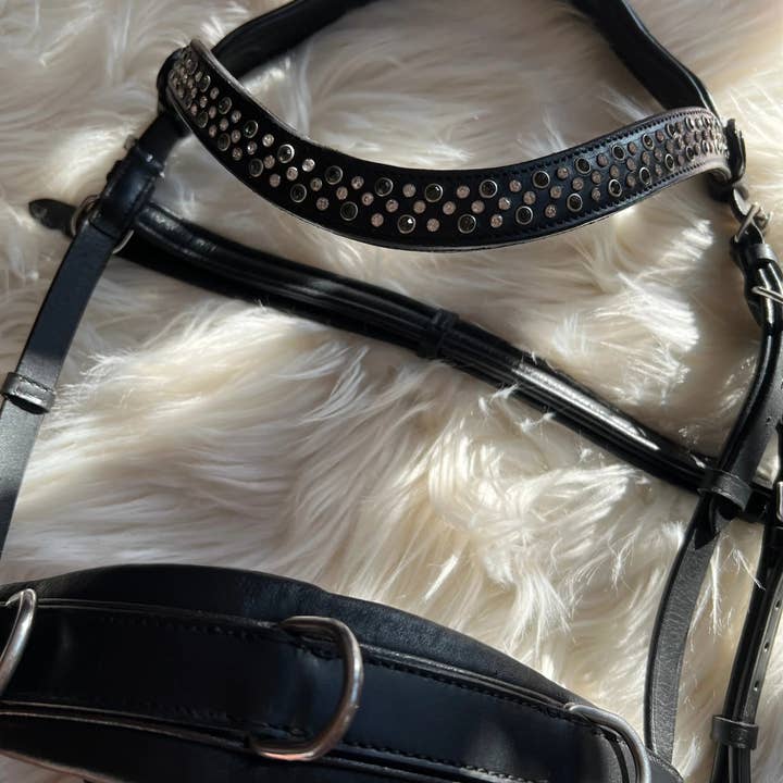 CR Harmonyequestrian - Wholesale Horseback Riding Gear - Full-blooded multi-fence8