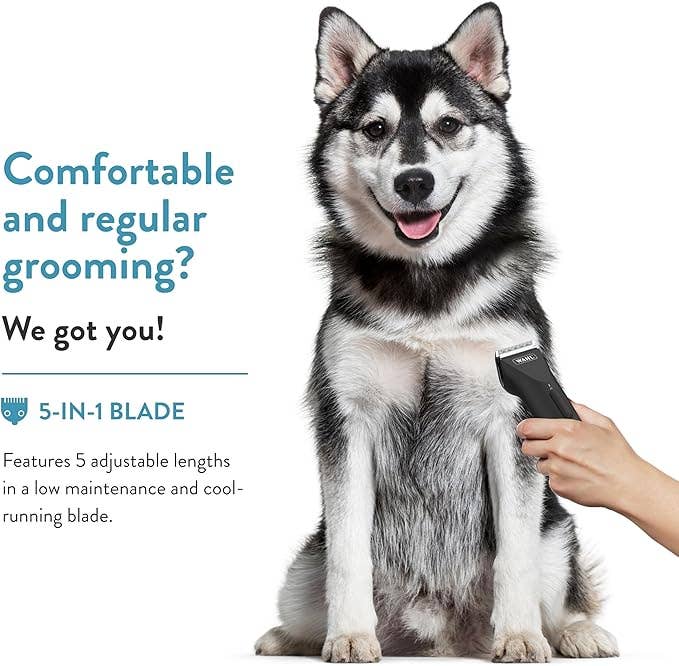 Alpine - Wholesale Pet Grooming Tool - Dog - Wahl Pro Animal 5 Style Groom Clipper-Adjustable 5-in1 blade2