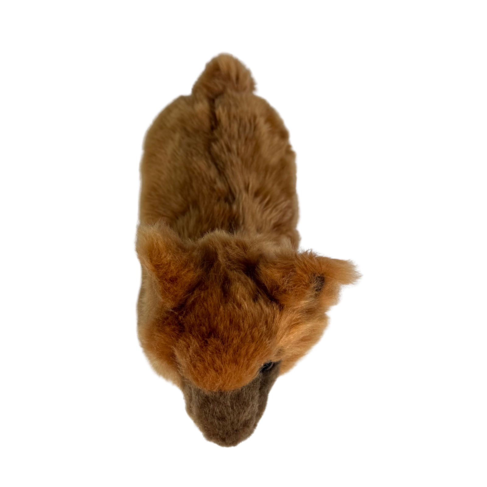 Bocchetta Plush Toys - Wholesale Stuffed/plush toy – Kids & baby - Alcapone - Alpaca - 25cm lying, brown2