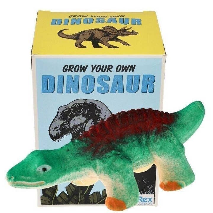 Rex London UK - Wholesale Classic Toy - Kids - Giant Hatching Dinosaur Egg - Prehistoric Land