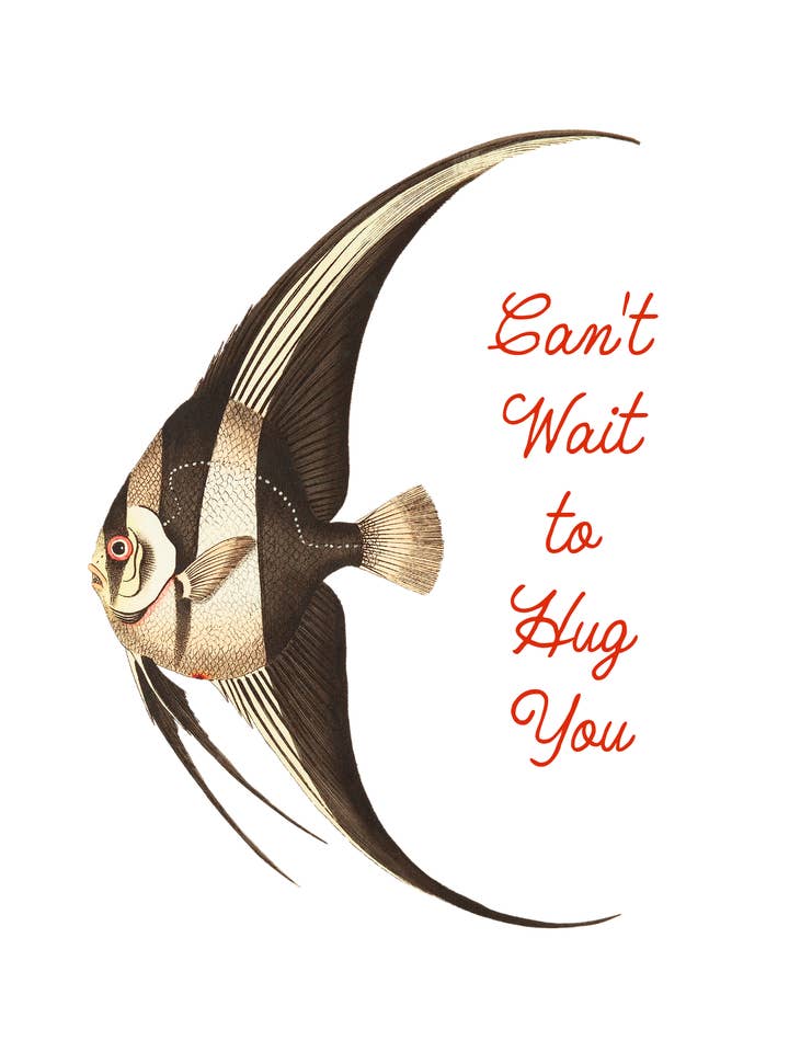 Mejor amigo pez para venta al por mayor de Sweet Tree Cards