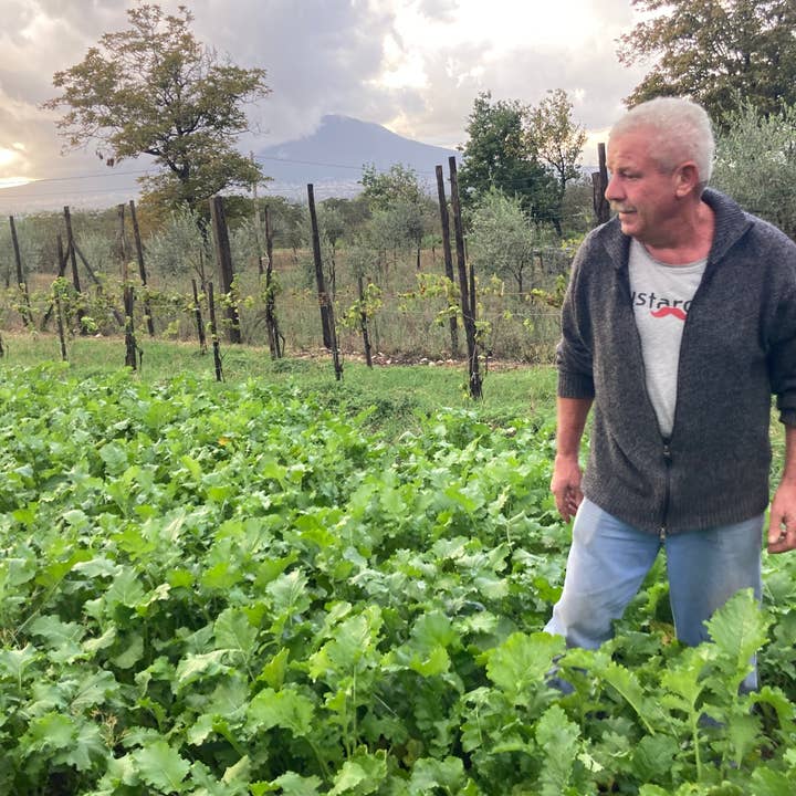 Gustarosso - Vendita all'ingrosso Salse - FRIARIELLI Broccoli Napoletani al Naturale