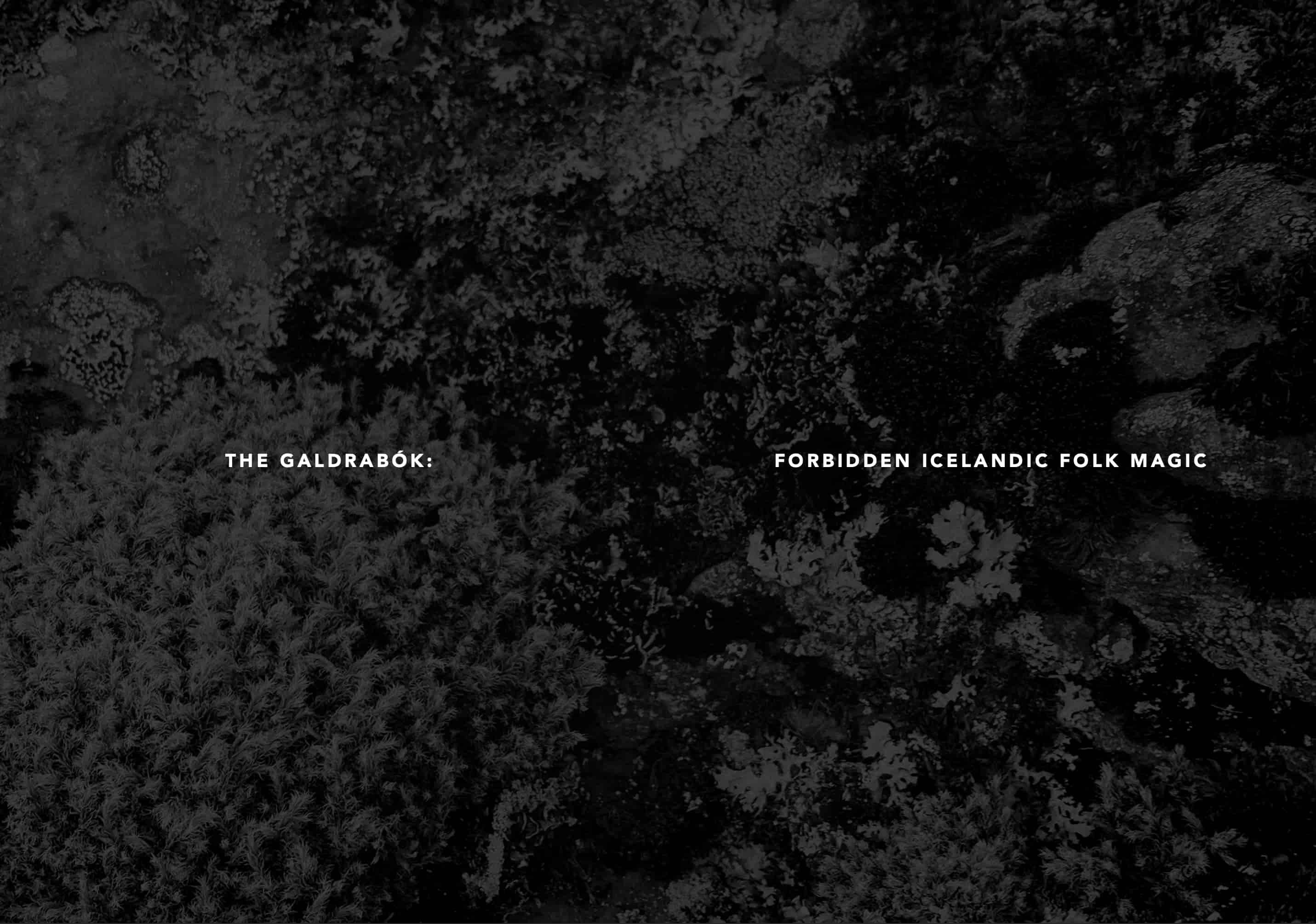 Hyldyr - Wholesale Religion Book - The Galdrabók: Forbidden Icelandic Folk Magic3