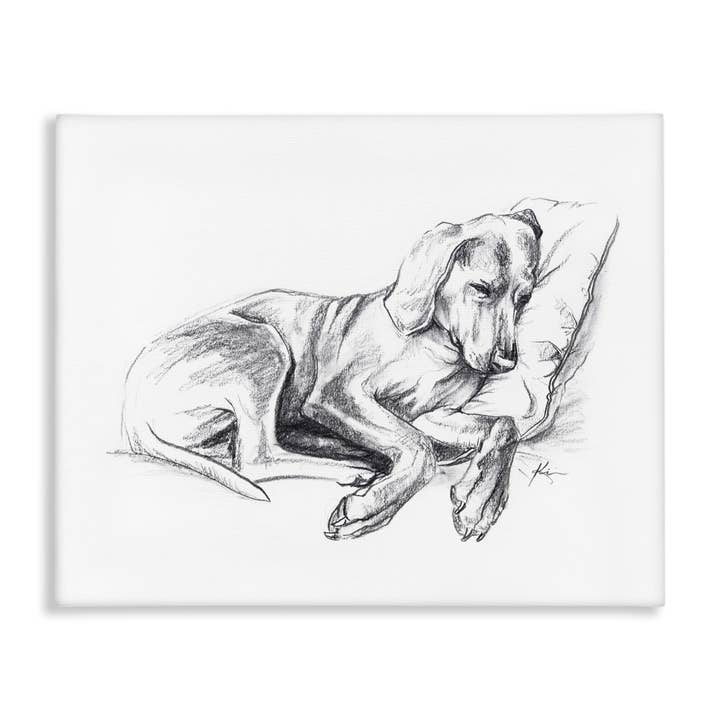 Stupell Industries - Wholesale Wall Decor - Kids & Baby - Napping Dog Drawing Canvas Art4