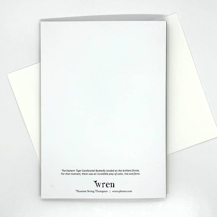 Wren - Wholesale Everyday Greeting Card - Swallowtail Butterfly on Zinnia (blank) Greeting Card1