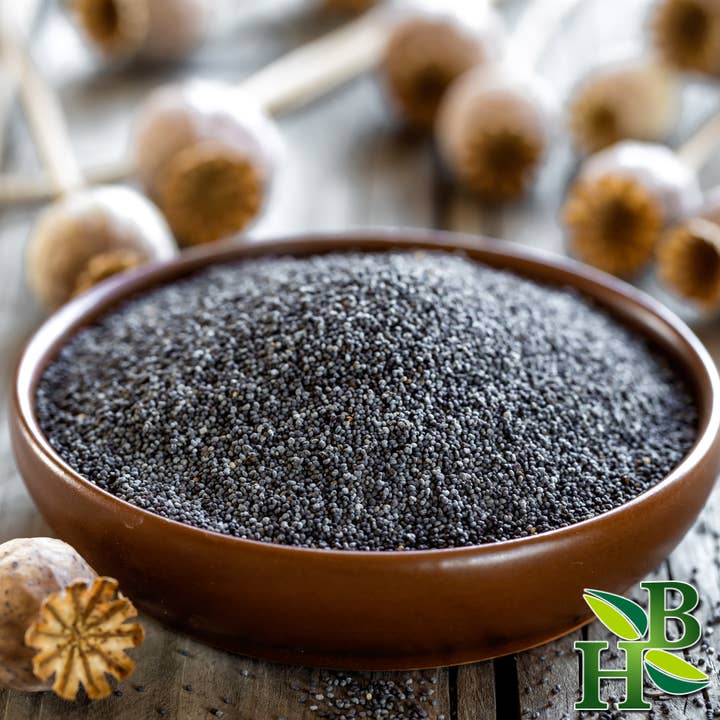 Herb To Body - Wholesale Plant Seeds - Poppy Seeds Whole 4oz1