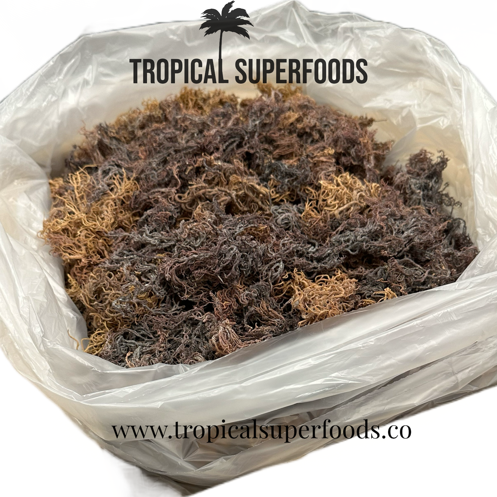 Tropical Superfoods - Wholesale Oral Supplement/Vitamin - Wholesale Wildcrafted Sea Moss Full Spectrum Multi Purple1