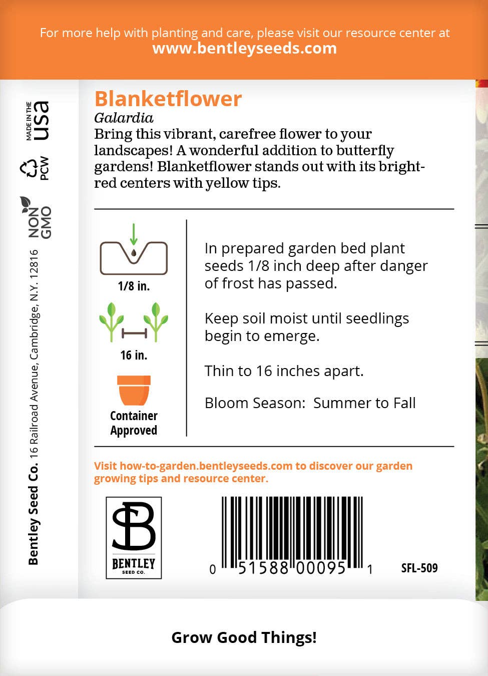 Bentley Seed Co. - Wholesale Plant Seeds - Blanketflower Seed Packets1