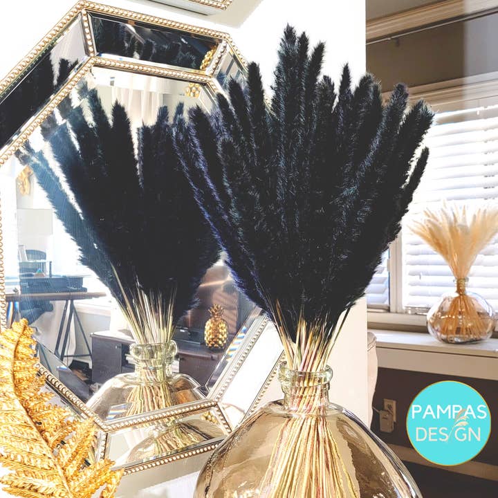 Pampas Design – wholesale Torkade/pressade blommor – Pampas Grass Orange 30 Stammar