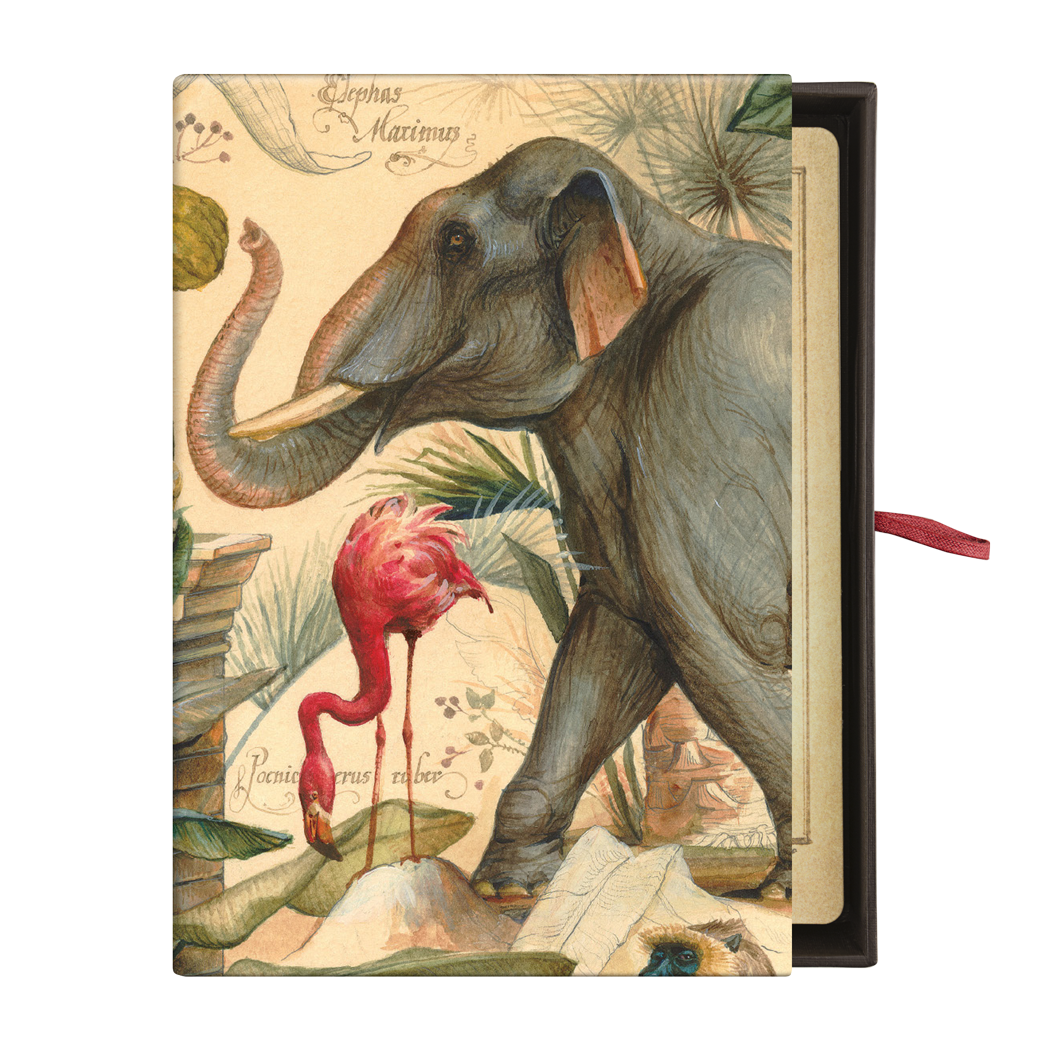 Bomo Art Budapest - Wholesale Everyday Greeting Card - Greeting Card Set with Handmade Box4