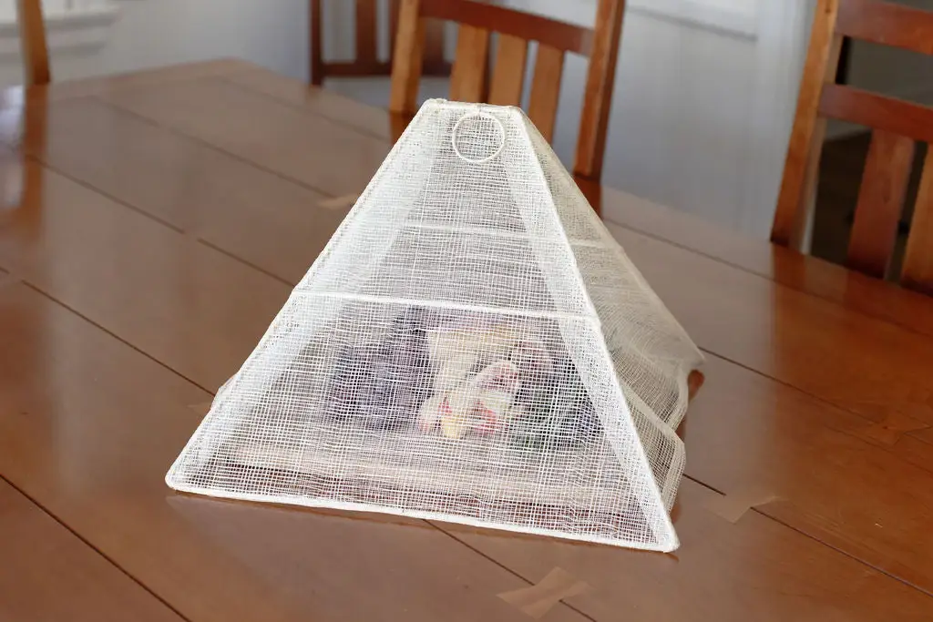 NEEPA HUT - Wholesale Food Storage Wrap/Bag - Handmade Collapsible Woven Food Tent | Cream | Small | Indiv1