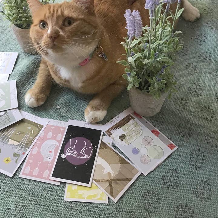 Considerate Cat Design - Wholesale Tarot Cards - Considerate Cat Tarot Deck