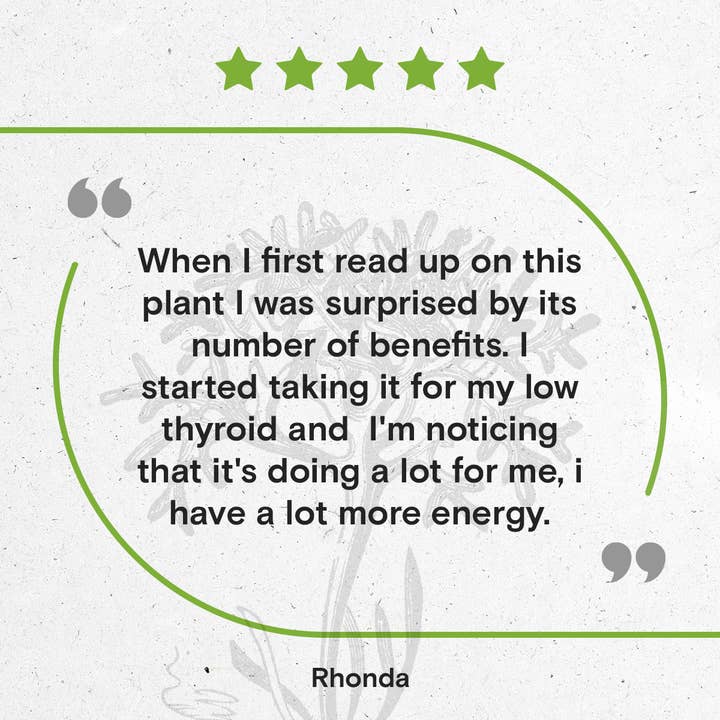 Secrets Of The Tribe - Wholesale Tincture - Bladderwrack Tincture10