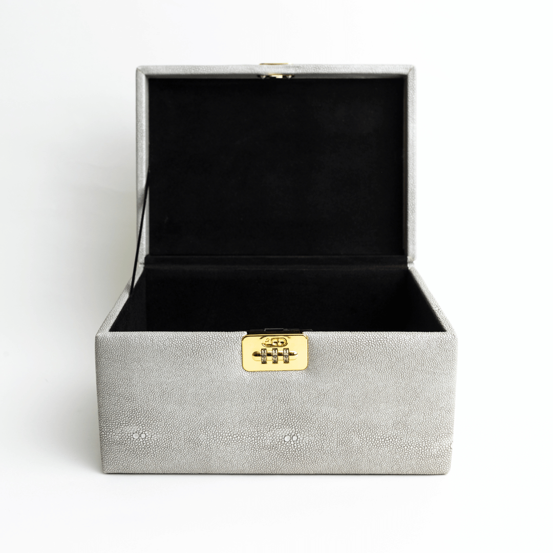 snugbox - Vente Boîte/rangement à bijoux - Boîte de rangement pour bijoux haut de gamme avec serrure en gris3