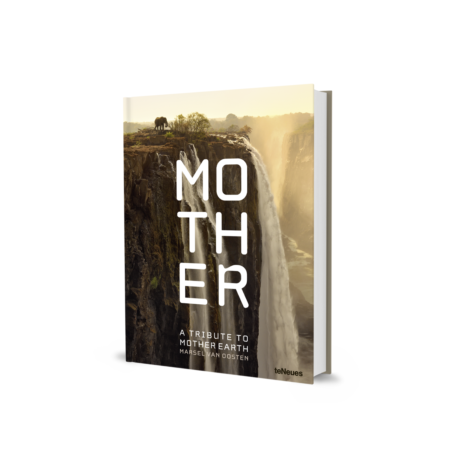 gestalten & teNeues - Wholesale Display Book - Mother1