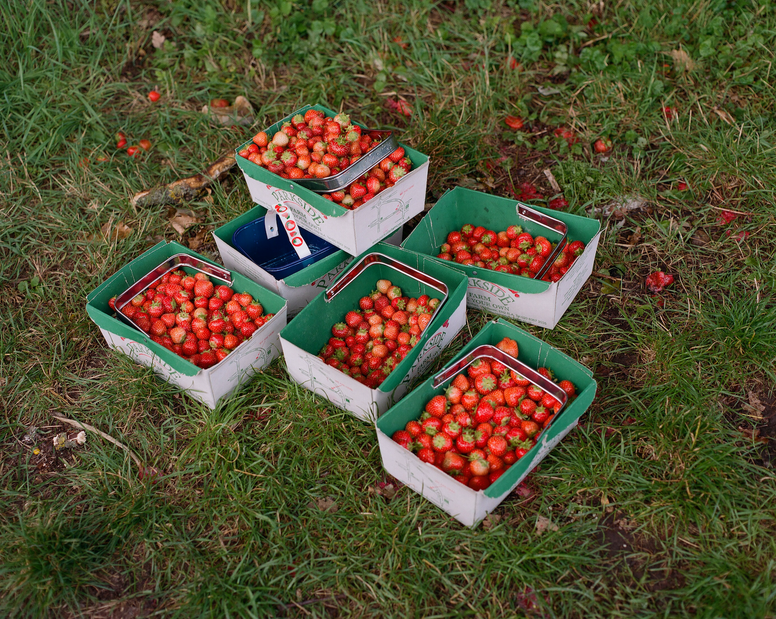 London Borough of Jam – wholesale Jam/jelly – Strawberry & Rosewater Jam 220g4