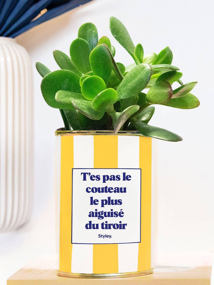 T'es Pas Le Couteau Le Plus Aiguisé - Plante Grasse pour la vente par Styley