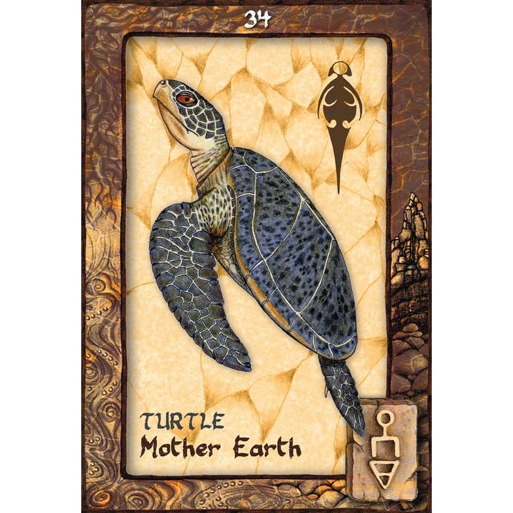 Cardshouse – Cartas de tarô por atacado – Animal Sonhando Cartões Oracle Anjo Azul4