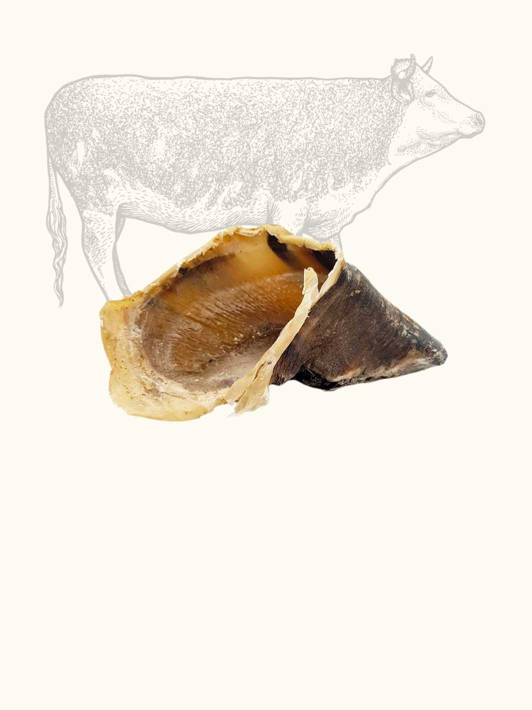 Truffe Délice – wholesale Pet bone/rawhide – Dog – Beef hoof5