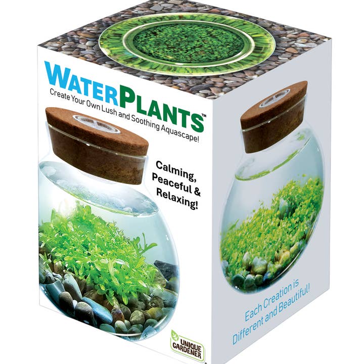 Silver Circle Products - Wholesale Terrarium - WaterPlants Aquatic Seed Kit Glass Terrarium with LED Light4