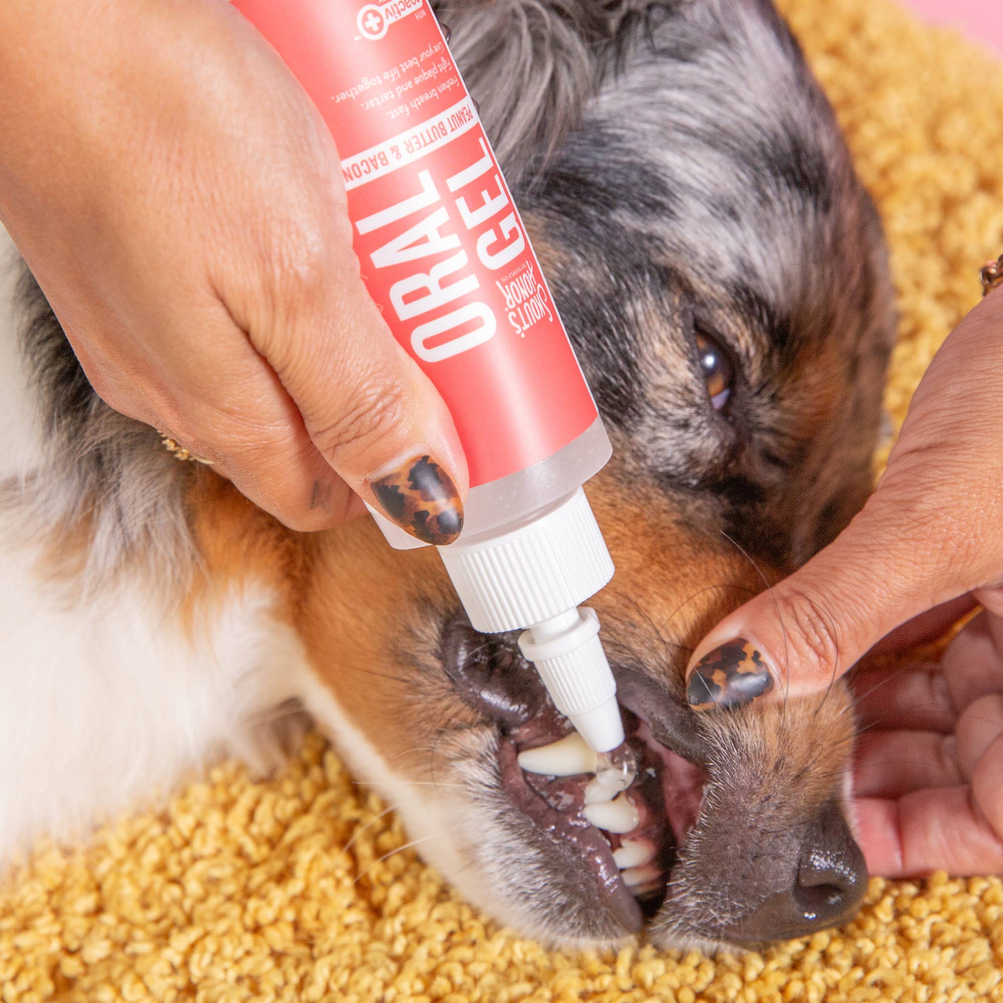 Pet Palette Distribution - Wholesale Pet Grooming Aid - Dog - Skout's Honor Oral Gel: Peanut Butter & Bacon 4oz7