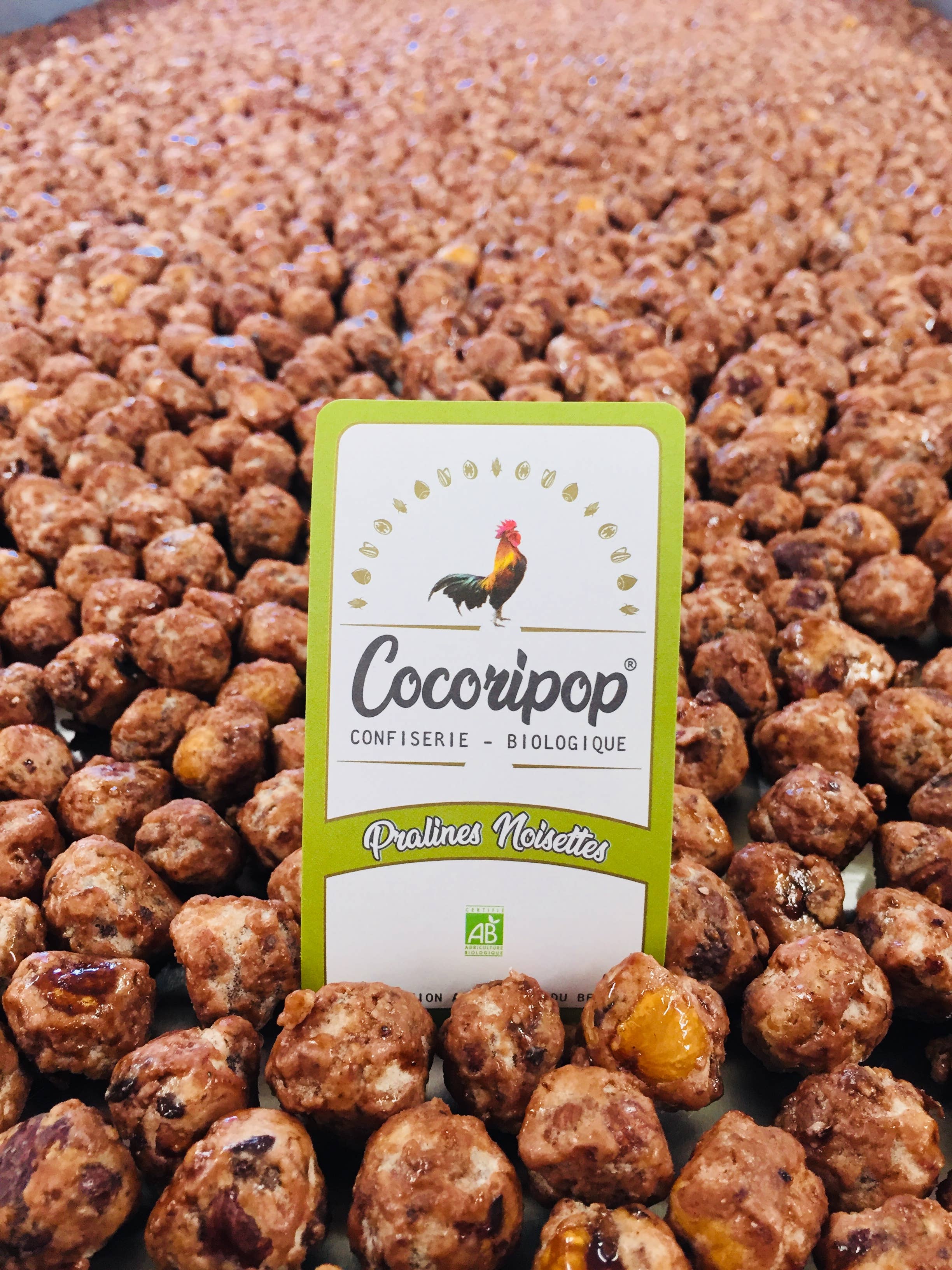 Cocoripop - Vendita all'ingrosso Frutta secca - Praline di nocciole sfuse 1 kg2