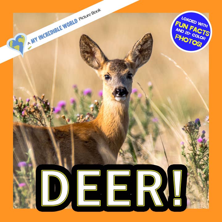 Deer! A My Incredible World Picture Book for Children for wholesale by My Incredible World