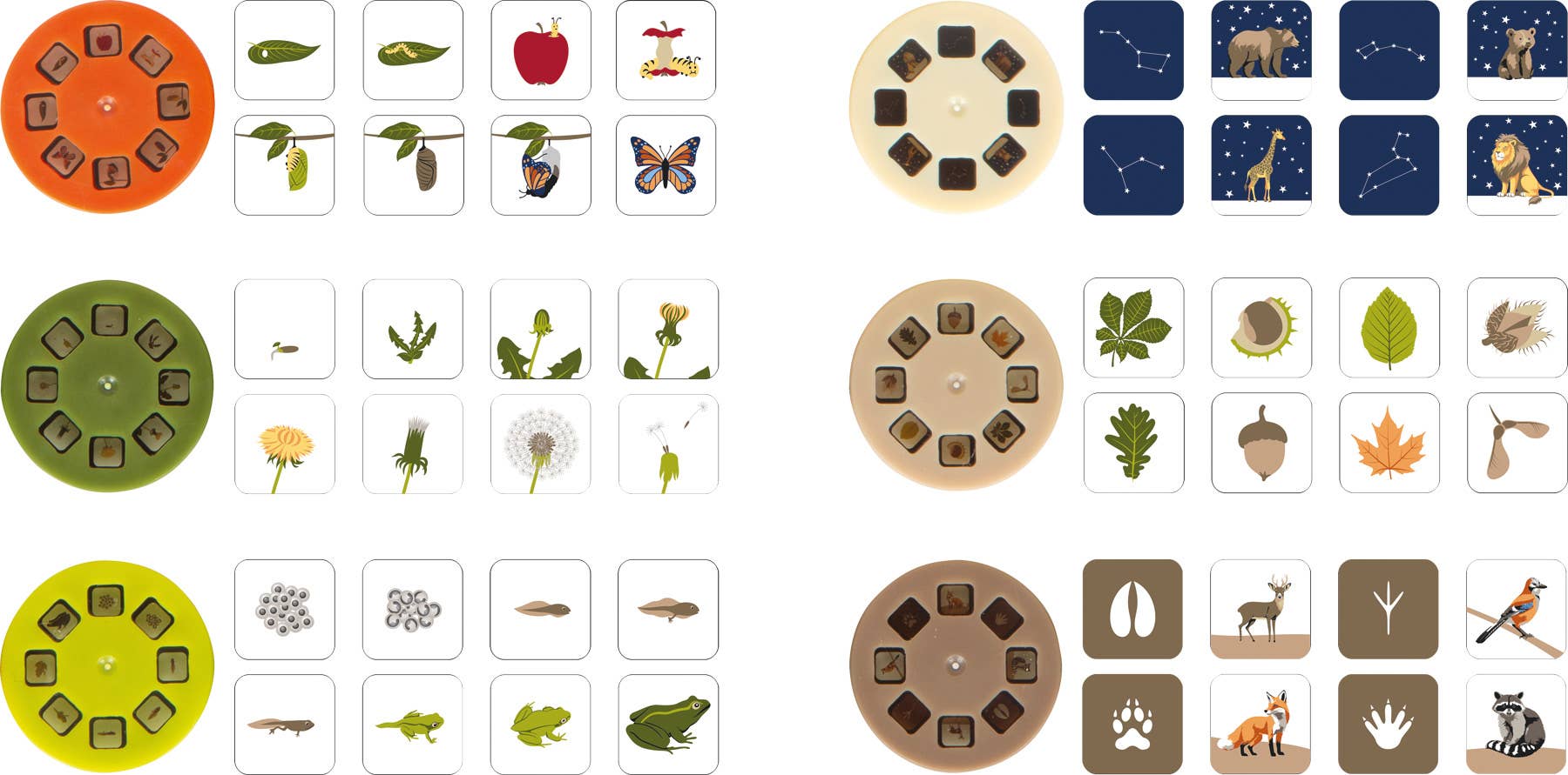 small foot - Wholesale Electronic Toy - Kids & Baby - Flashlight and Projector "Discover" | Wooden Toy5