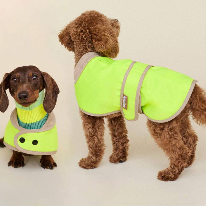 THE GLOW RAINCOAT mini-fit – Hundemantel für kleine Hunderassen und Dackel in Neongelb für den Großhandel von lumiies - high visibility