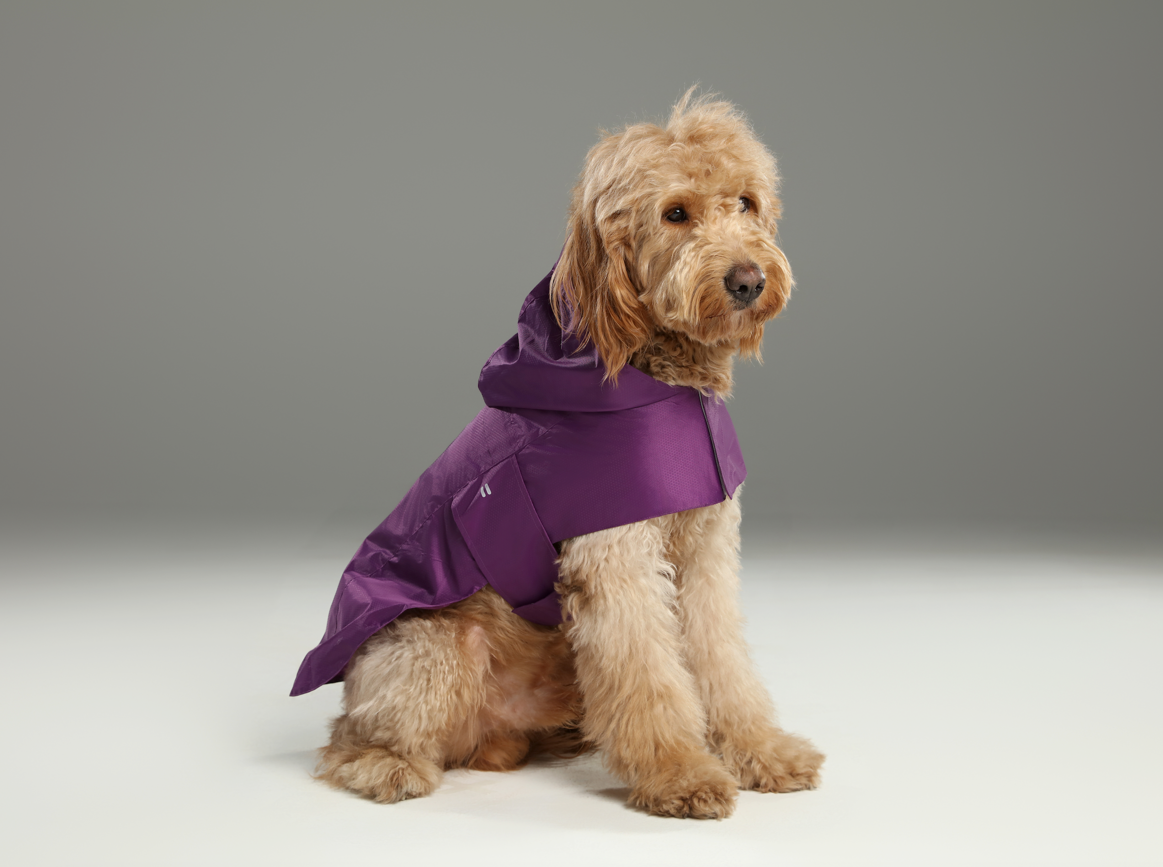 PEHOM - Venta al por mayor Chubasquero - Perros - Impermeable tipo cápsula - Morado5