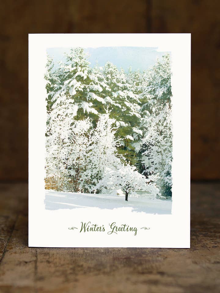 Alberi d'inverno per la vendita all'ingrosso da parte di Sugarhill Card Co