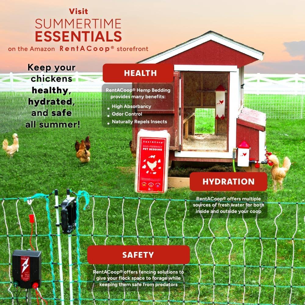 RentACoop - Wholesale Pet Supplement - Not Cat/Dog - 2 Gallon Chicken Waterer with Auto-Fill Cups4