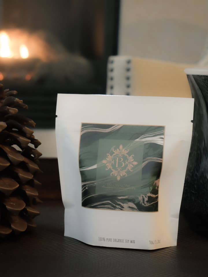 Obsidian Glass Wax Warmer + Blossom Scented Wax Melt Kit for wholesale by Blossom