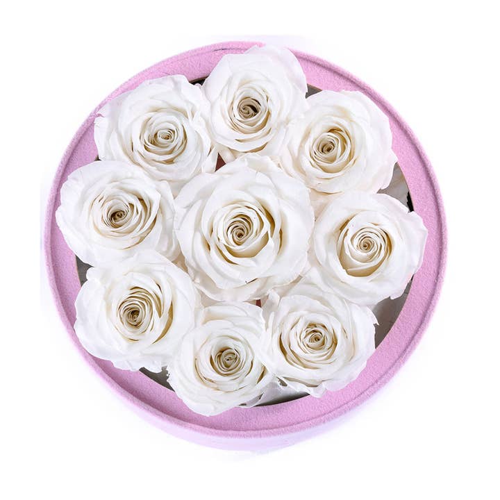 Rose Forever – wholesale Dried/pressed flowers – 9 White Roses Pink Suede – Luxury Eternity Box
