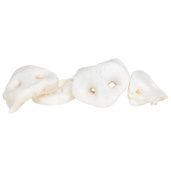 Kivo Petfood - Wholesale Pet Treats - Dog - Dog Snack - Puffed Pork Nose with Honey - 5 pieces0