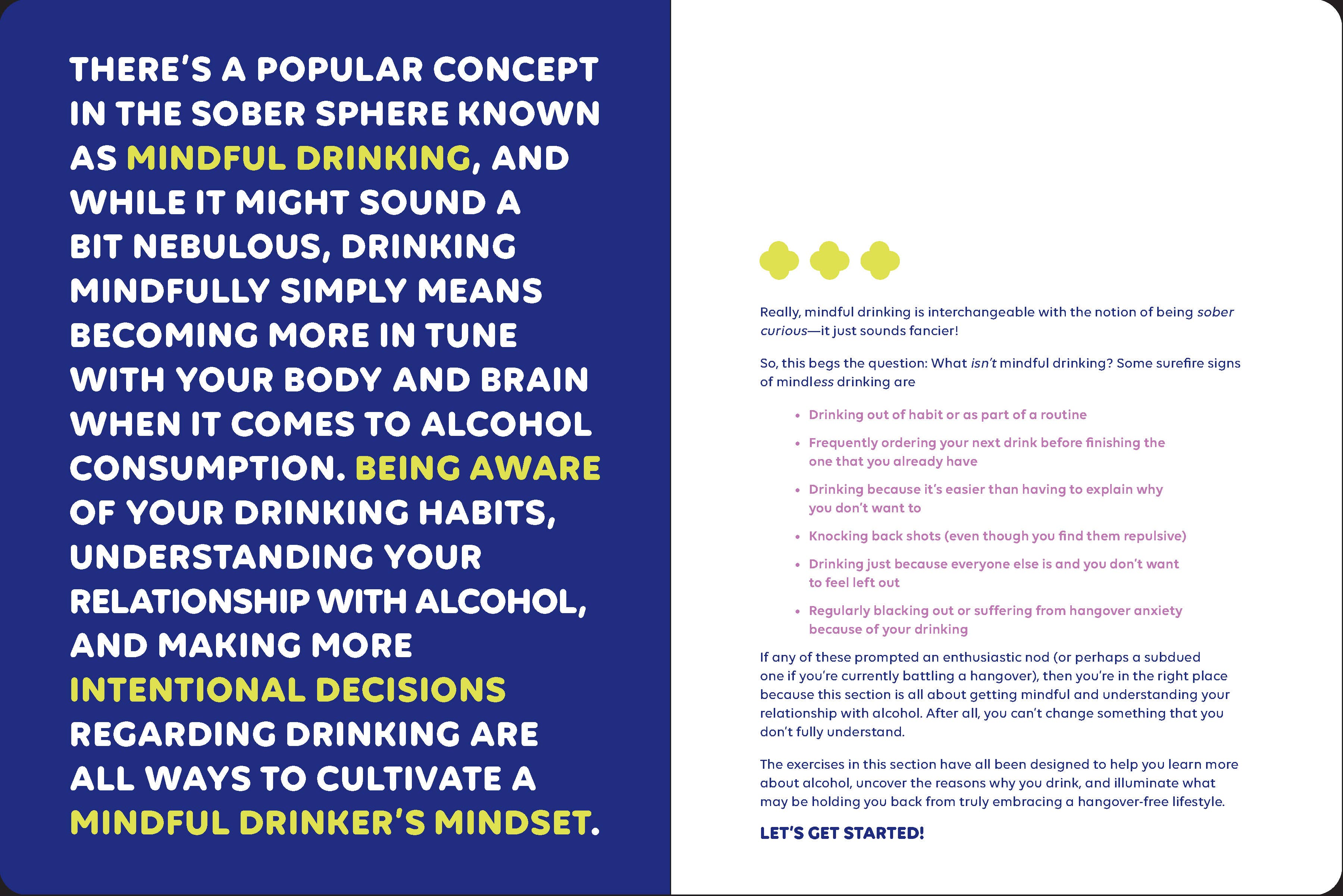 Chronicle Books - Wholesale Journal/Diary - Booze Less6