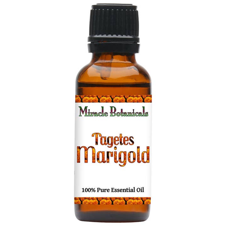 Tagetes Essential Oil - Marigold for wholesale by Miracle Botanicals